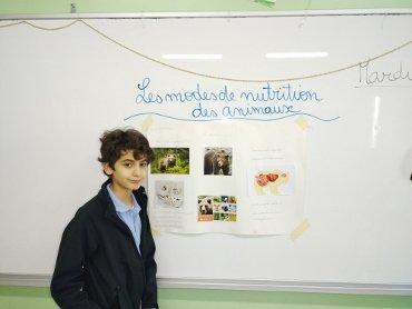blog